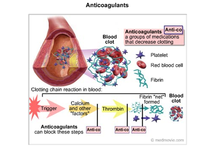 a-fib, blood thinners, stroke, afib