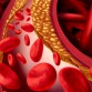 dabigatran, afib, blood thinners, anticoagulants