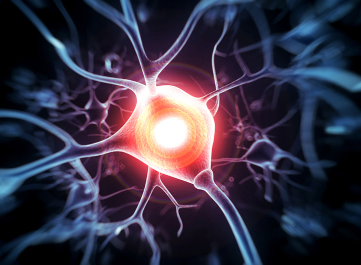 complex partial seizures, epileptic seizure